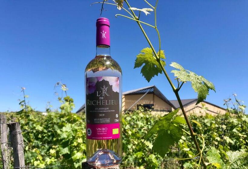 ベッドアンドブレックファースト Château Richelieu