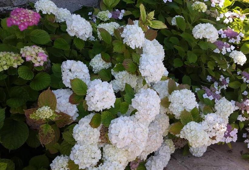 Bed and Breakfast Château Richelieu