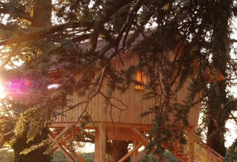 צימר Domaine Des Grands Cèdres