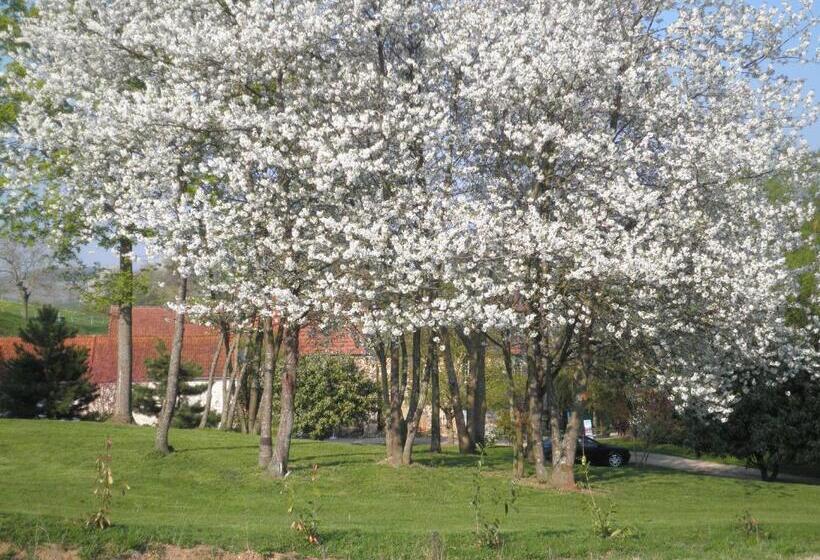 צימר Domaine Du Moulin De L Etang