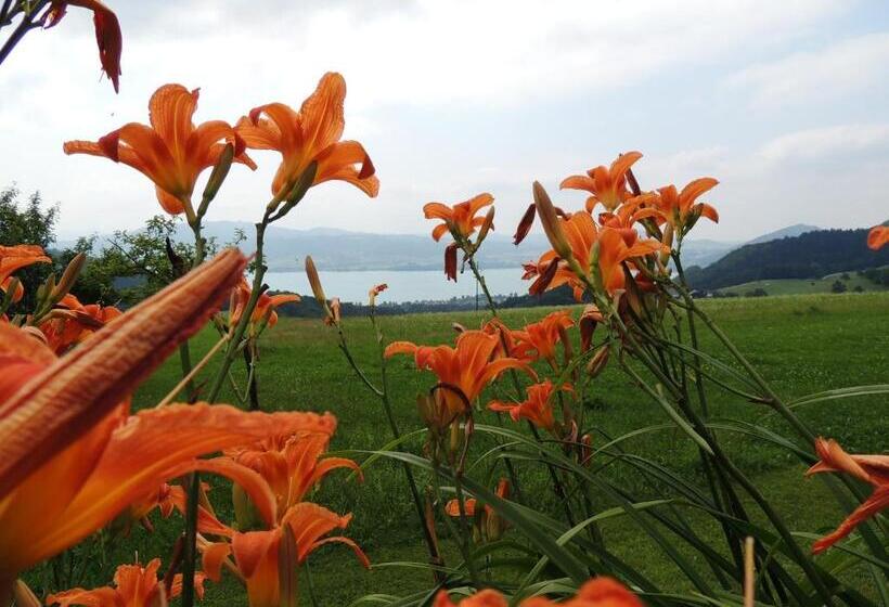 Bed and Breakfast Ferienwohnungen Schöbringer