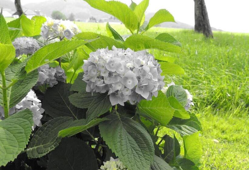 צימר Ferienwohnungen Schöbringer