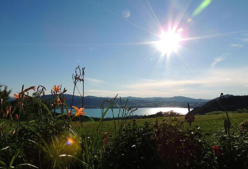 住宿加早餐  Ferienwohnungen Schöbringer