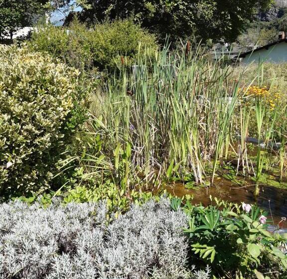 مبيت وإفطار Grotto Pergola