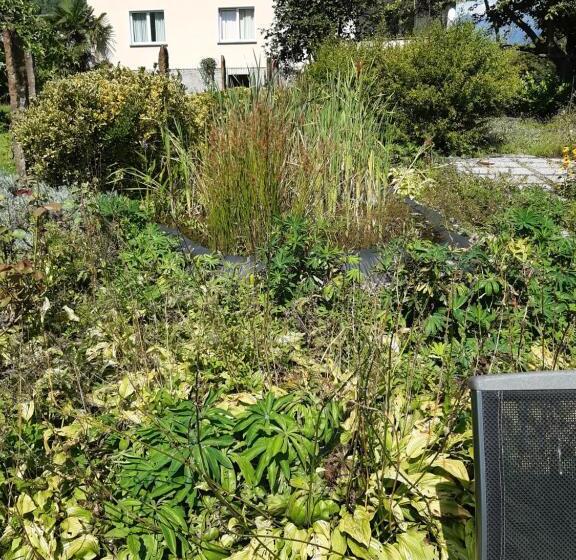 مبيت وإفطار Grotto Pergola