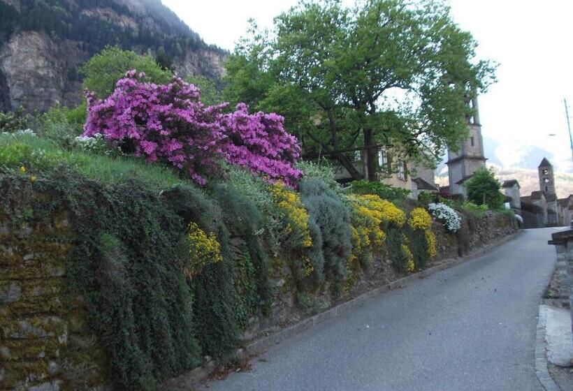 مبيت وإفطار Grotto Pergola