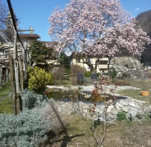 مبيت وإفطار Grotto Pergola