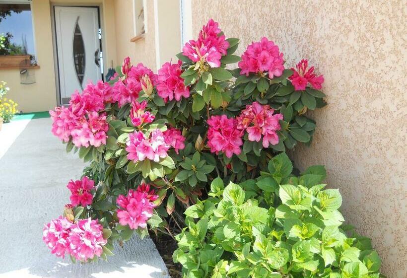 مبيت وإفطار Le Clos Des Malézolles