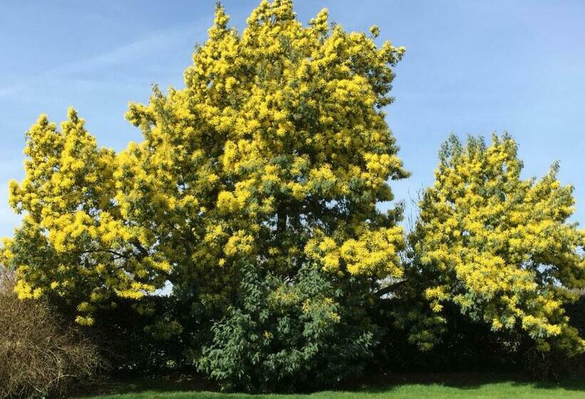 צימר Le Domaine De Belleville