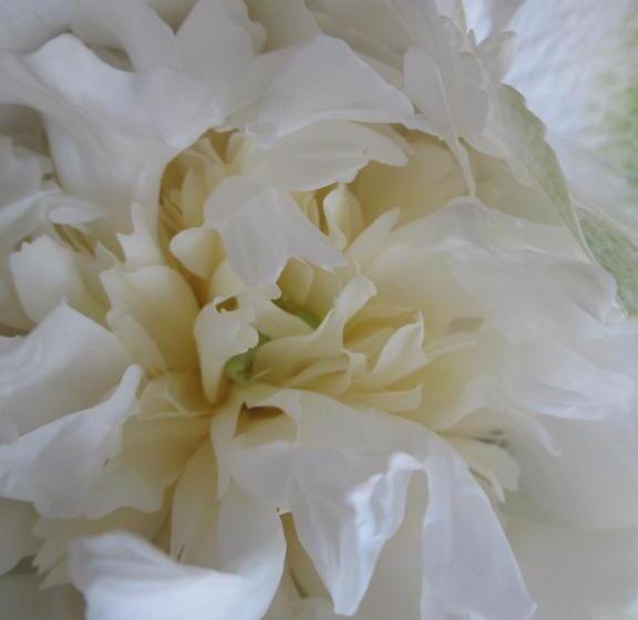 צימר Le Mas Du Fort