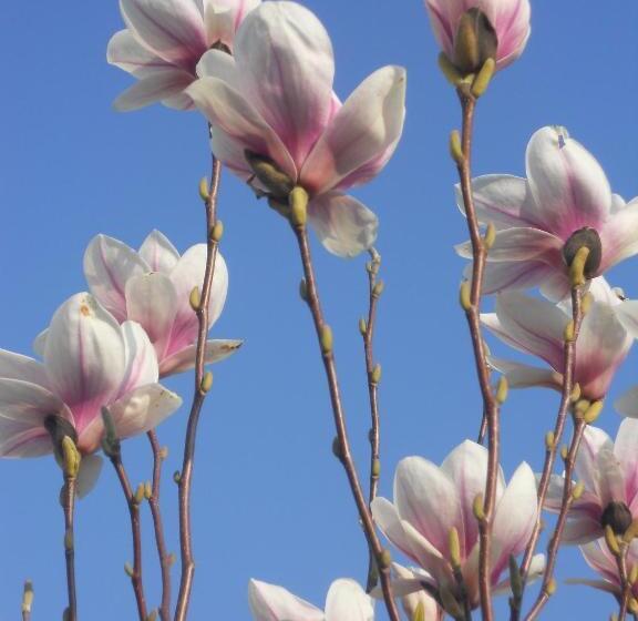 צימר Le Mas Du Fort