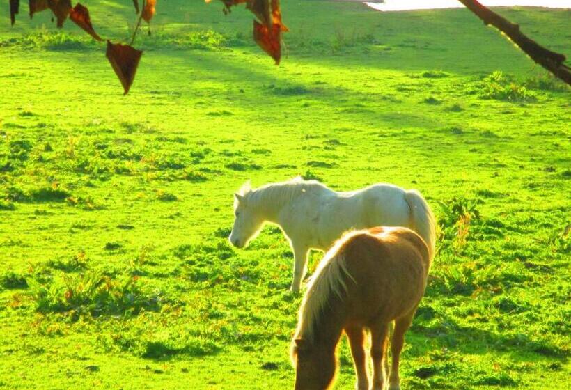 צימר Le Mas Du Fort