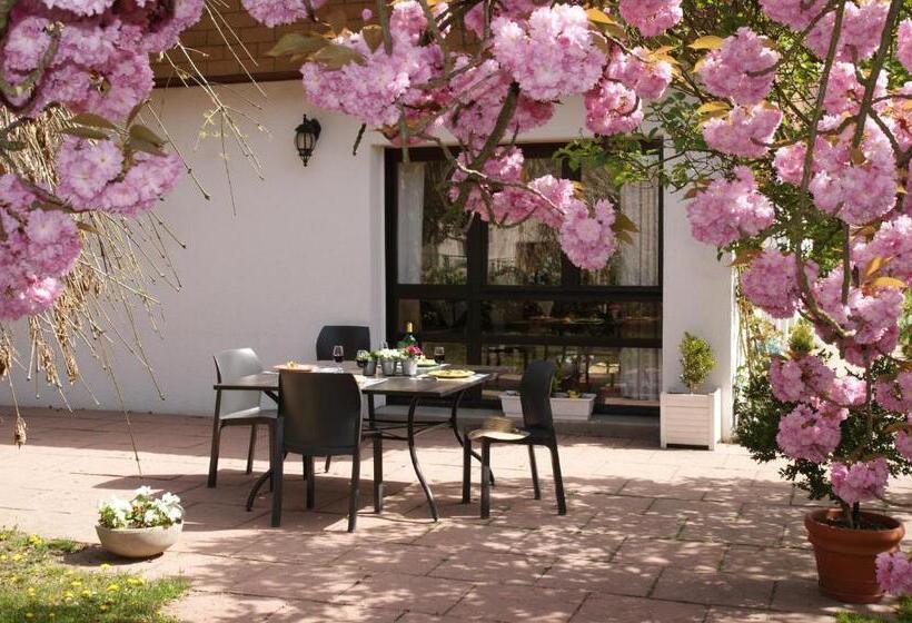 ベッドアンドブレックファースト Les Chambres De La Maxe