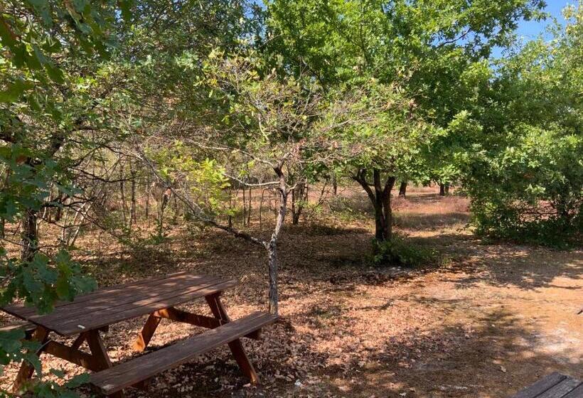 צימר Domaine De Labelo