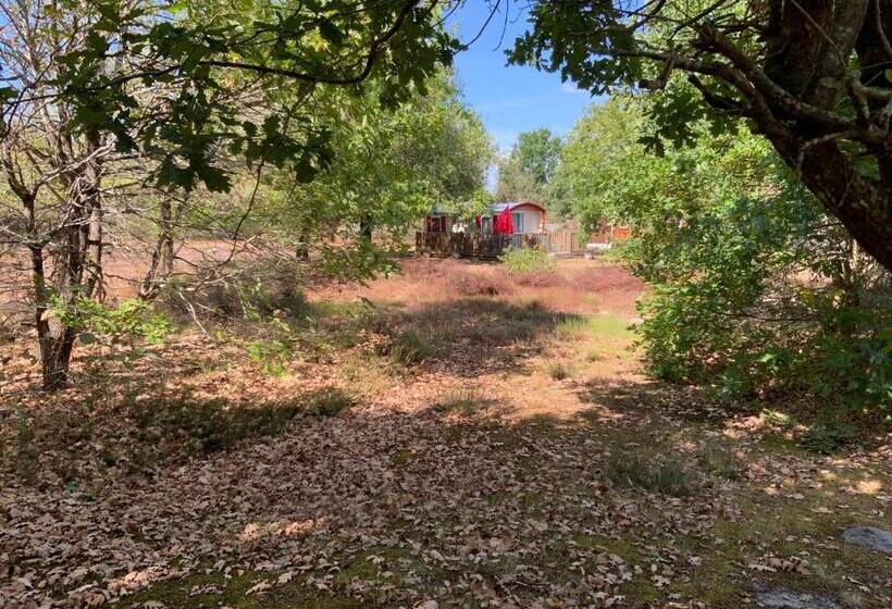 צימר Domaine De Labelo