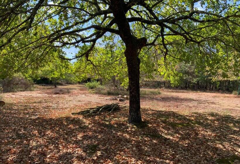 צימר Domaine De Labelo