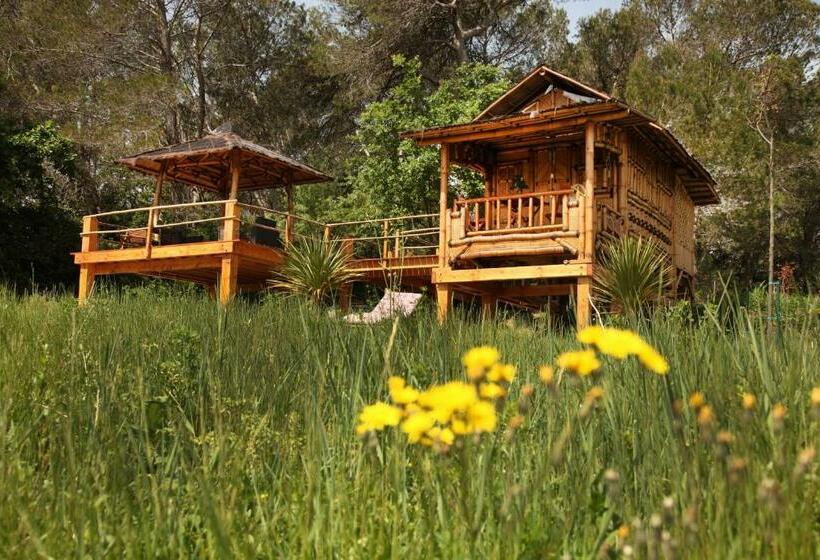 민박 Mas D Alphonse