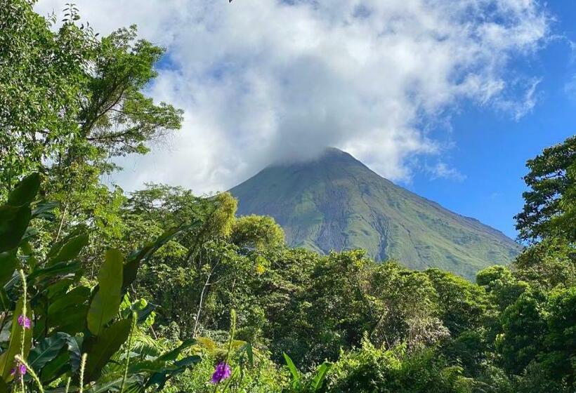 ベッドアンドブレックファースト Monte Terras