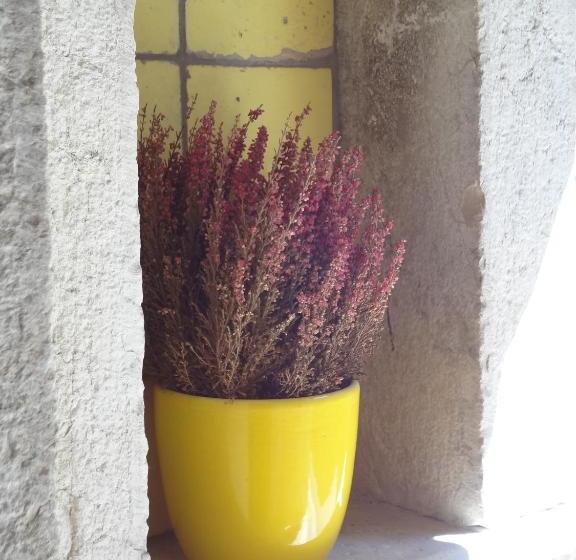 Bed And Breakfast Pa Carrera