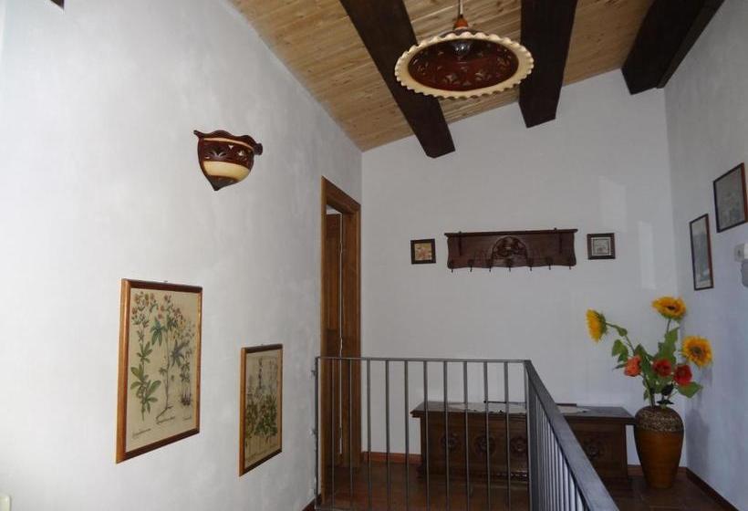 Bed And Breakfast Pa Carrera