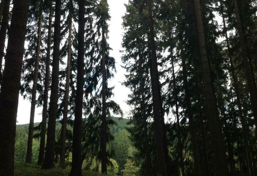 Bed and Breakfast Pension U Jelinka