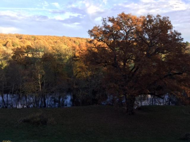 ベッドアンドブレックファースト Saint Victor La Grand  Maison