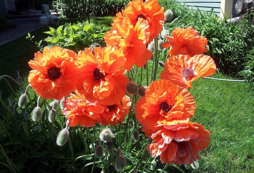 住宿加早餐  The Spaniards Room Heritage Home