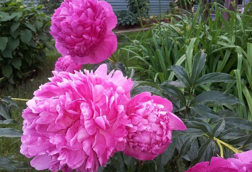 住宿加早餐  The Spaniards Room Heritage Home