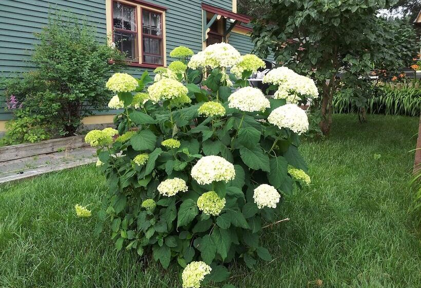 住宿加早餐  The Spaniards Room Heritage Home