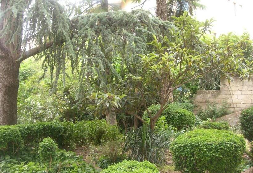 住宿加早餐  Villa Genny