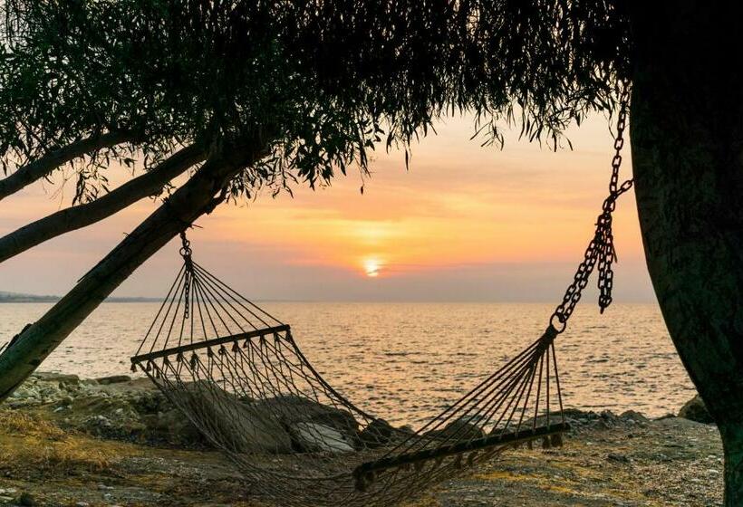 Elya Beach Luxury Suites