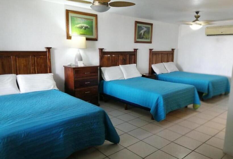 Freedom Shores La Gringa Hotel   Universally Designed