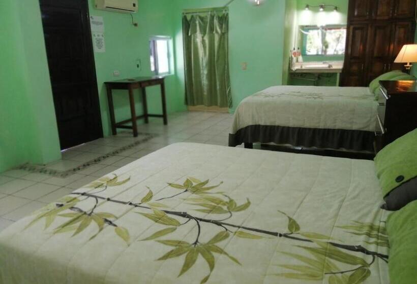 Freedom Shores La Gringa Hotel   Universally Designed