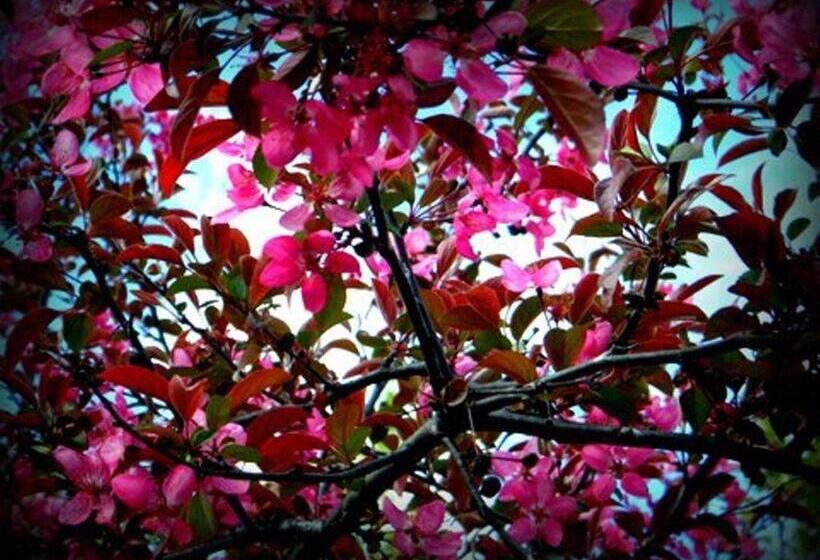 Hastings House Bed & Breakfast