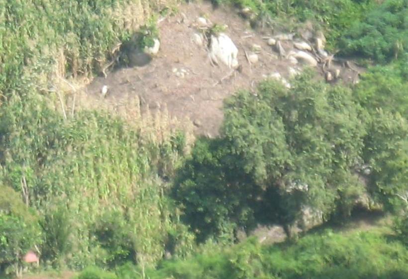 Hostel Finca La Gordita