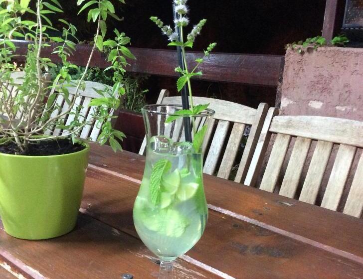 فندق Acropole Asco