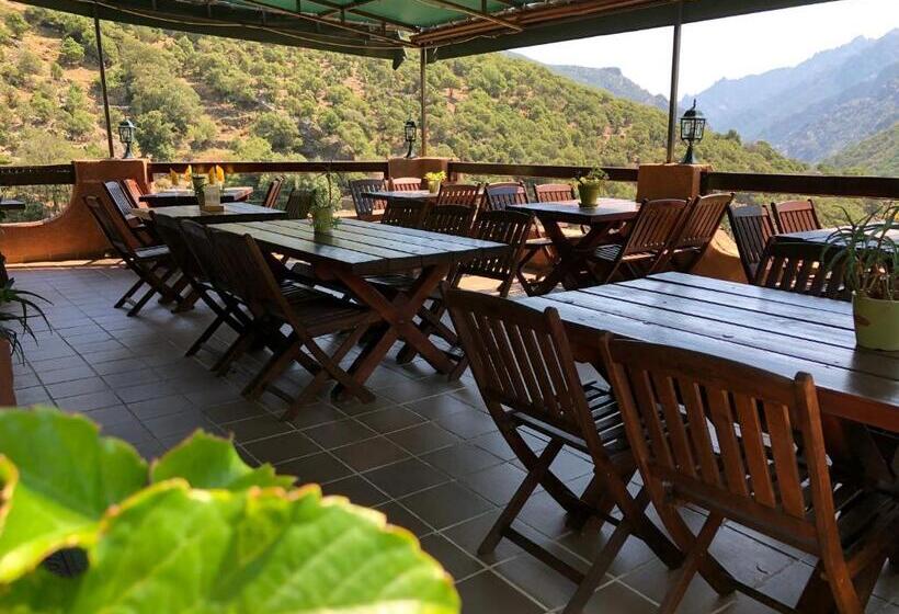 فندق Acropole Asco