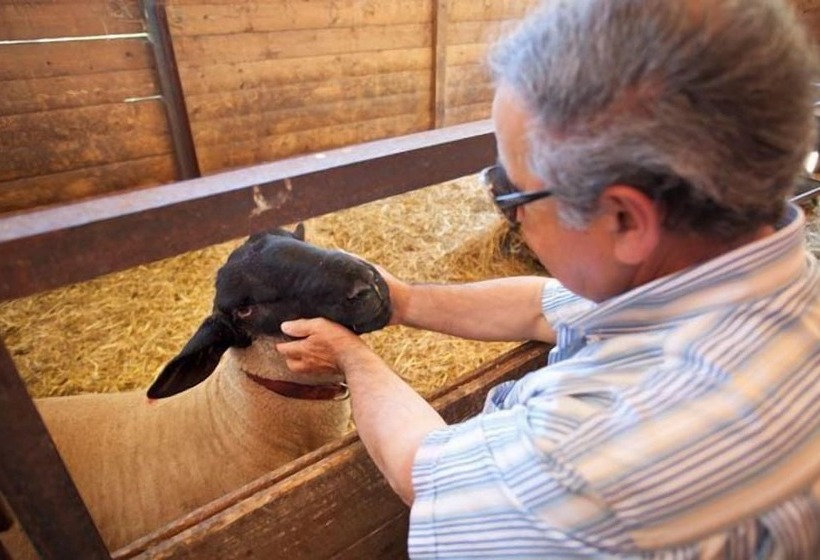 בית מלון כפרי Agriturismo Il Castello