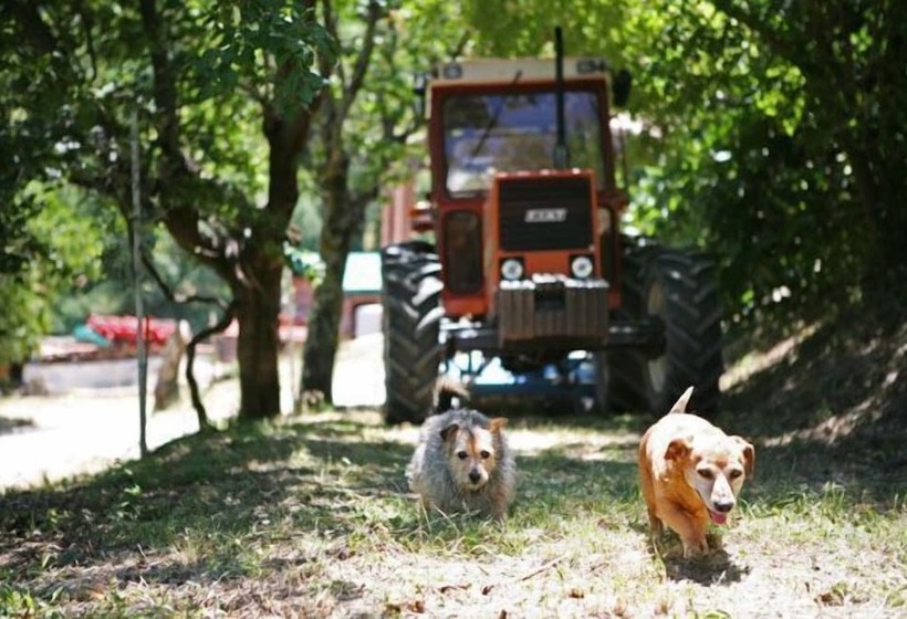 בית מלון כפרי Agriturismo Il Castello