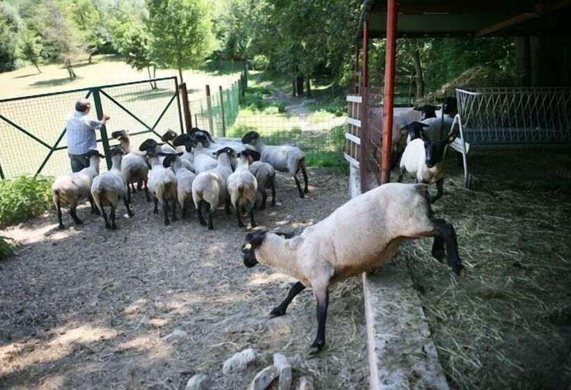 בית מלון כפרי Agriturismo Il Castello