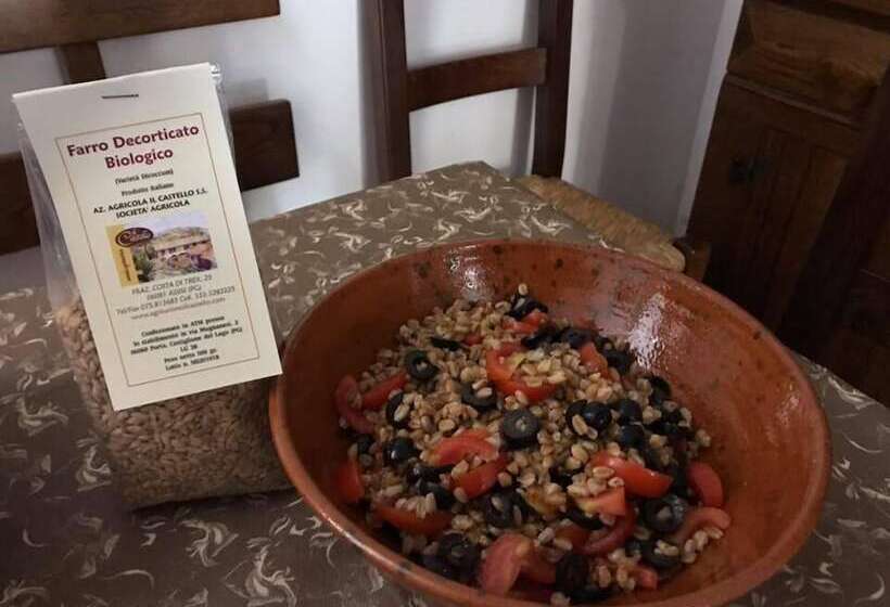 בית מלון כפרי Agriturismo Il Castello