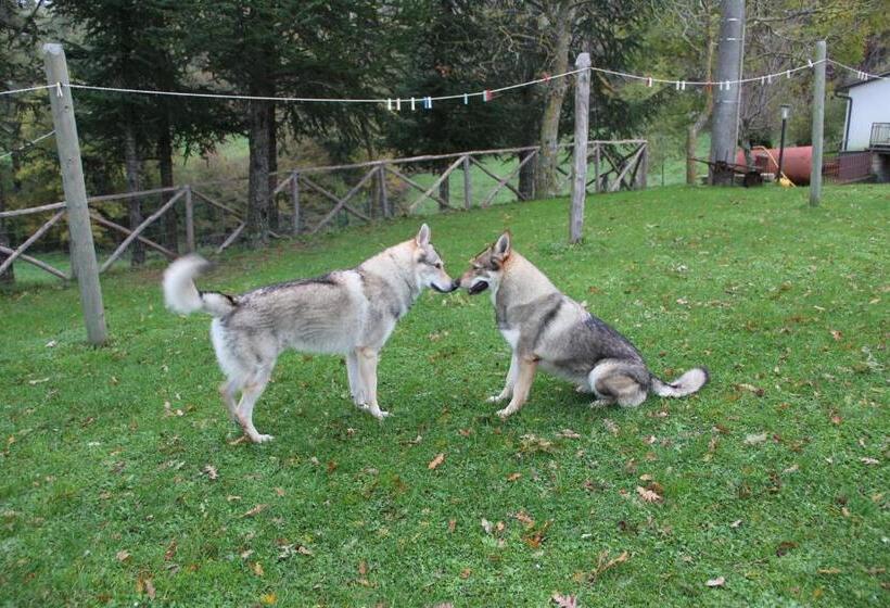 فندق Agriturismo Le Paicciole