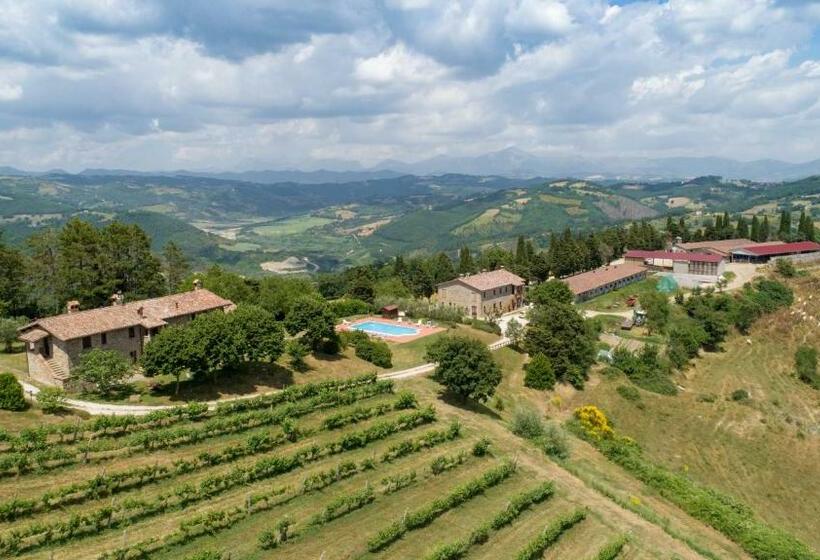 Отель Agriturismo Tenuta Di Biscina