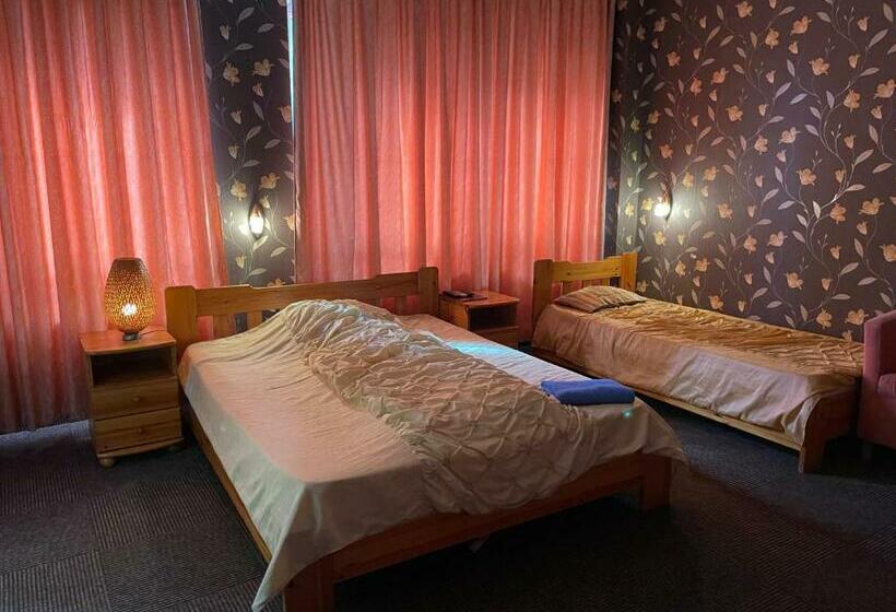 Отель Airport Szálló