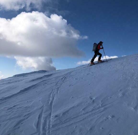 فندق Alpenhof Strenge