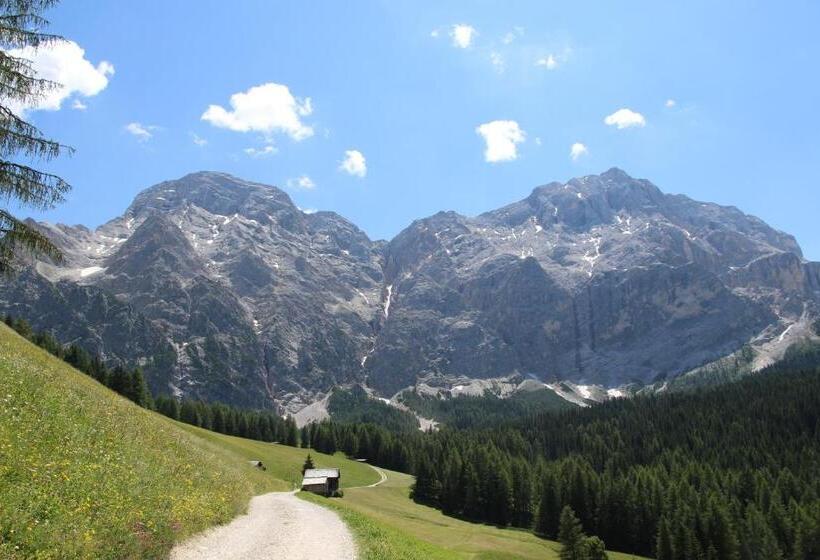 호텔 Alpenrose Dolomites