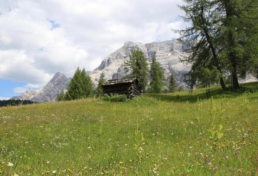 호텔 Alpenrose Dolomites