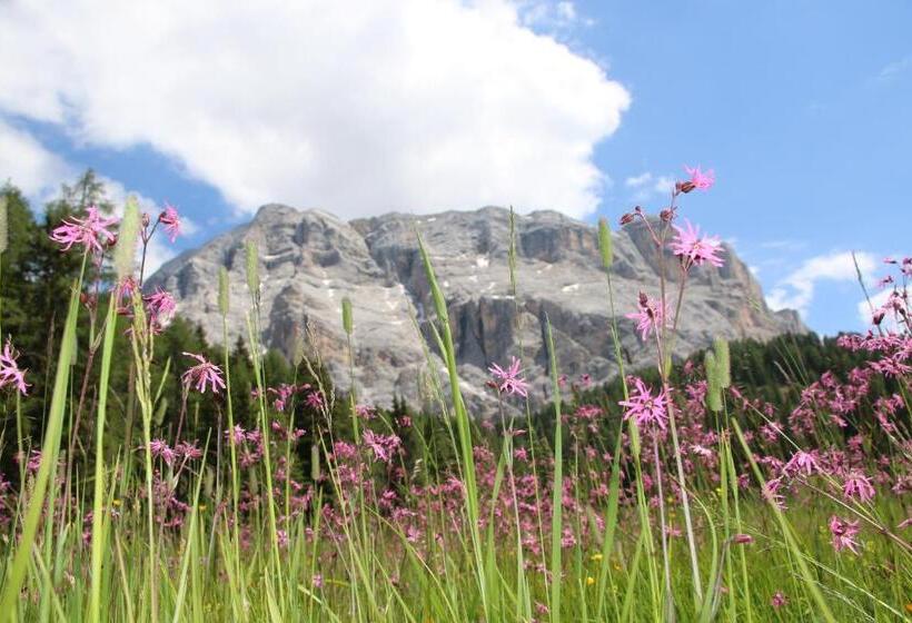 호텔 Alpenrose Dolomites