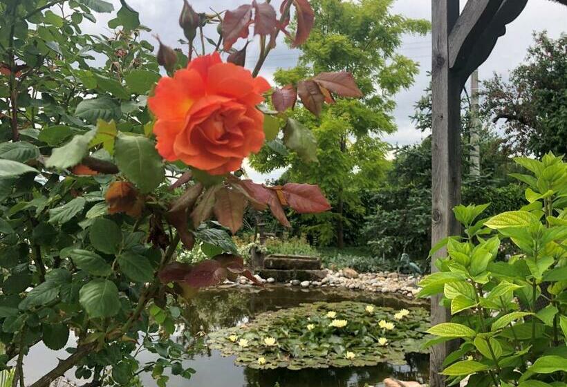 ホテル Au Relais De L'ill