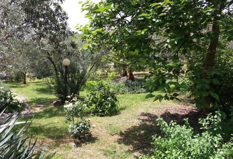 ホテル B&b L Uliveto